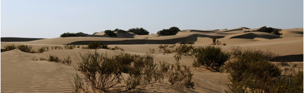 Dune nei pressi del Delta del Nilo