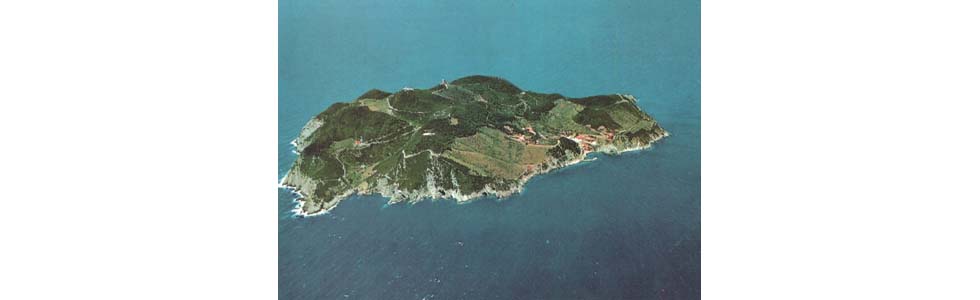 Isola di Gorgona