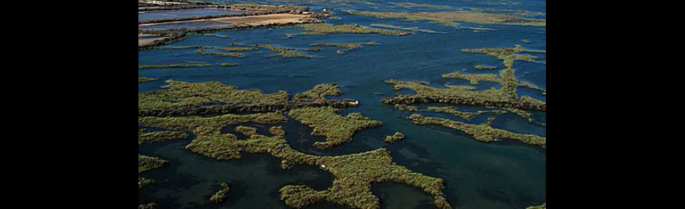 La foce del Guadalquivir