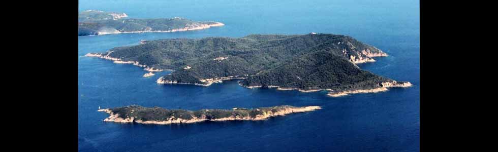 Port-Cros, nelle isole Hyeres