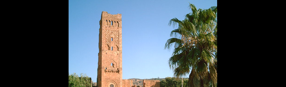 La mosche di Tlemcen del 1136